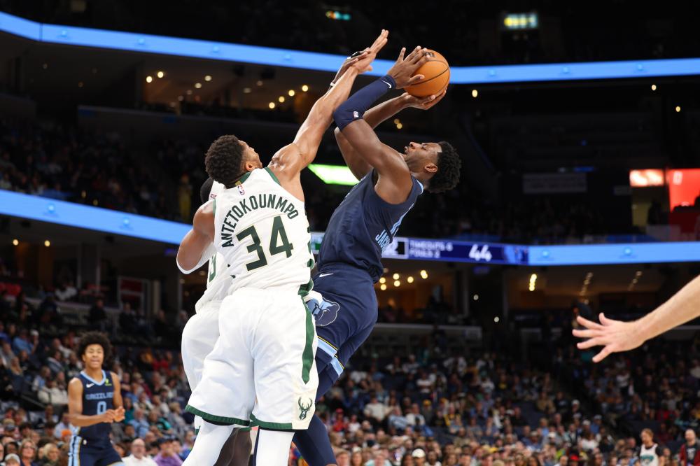 自己在国家 自己在国家